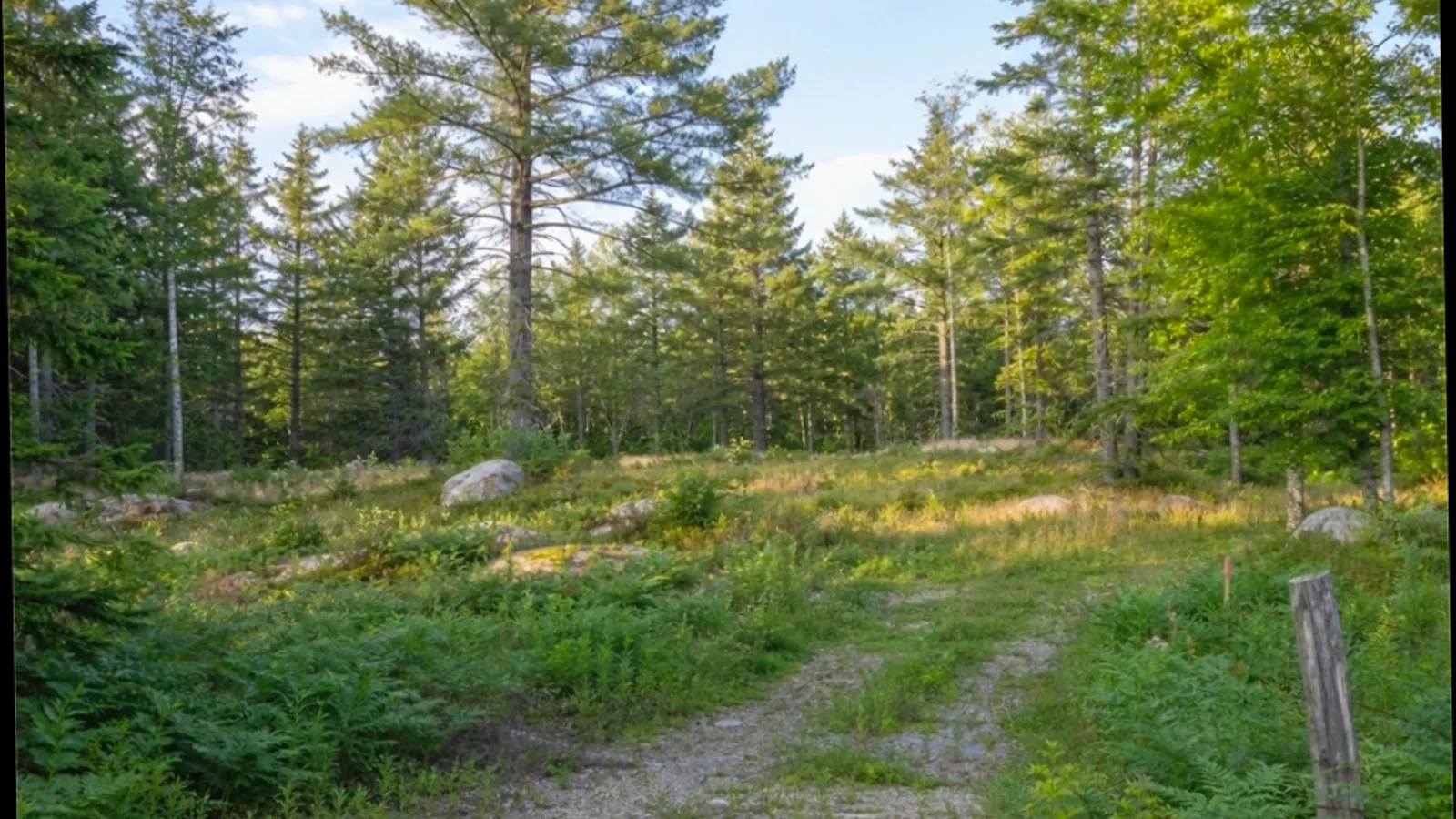 How to Sell Inherited Land in Michigan Michigan land parcel