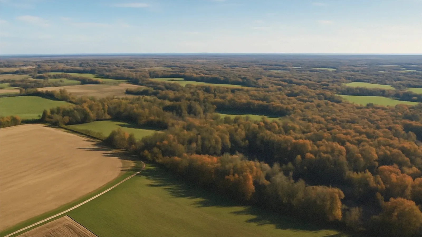 How to Sell Land Without a Realtor in Michigan Michigan land parcel