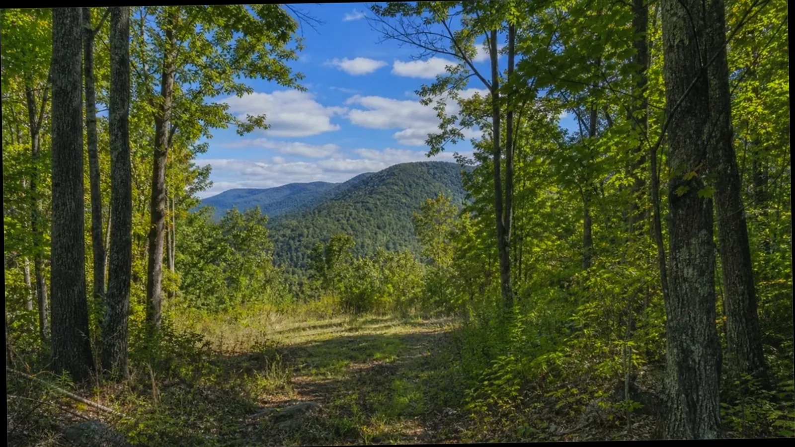Legal Documents for Selling Land Without Clear Title Michigan land parcel