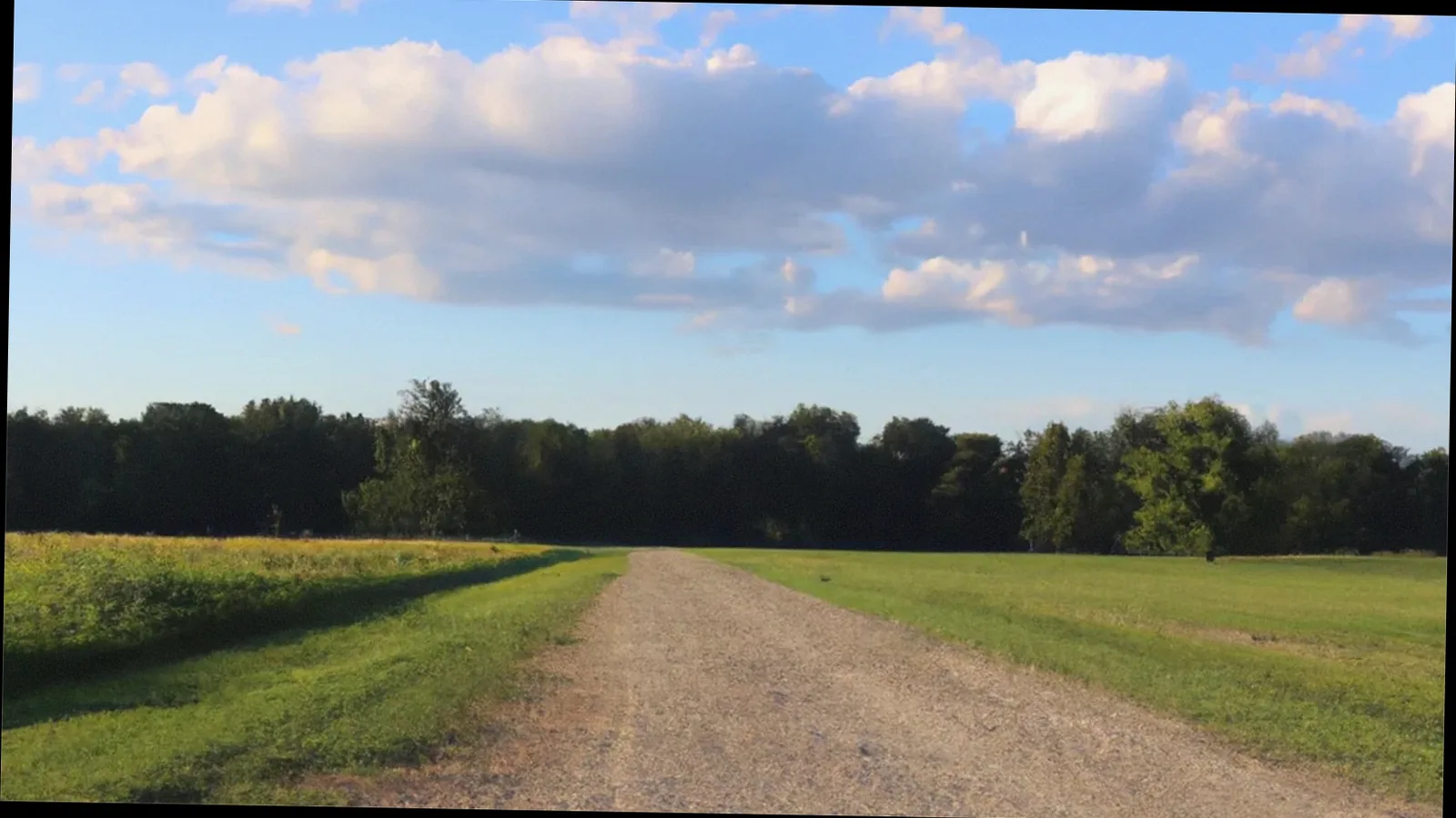 Michigan Land Buyers: Sell Land Fast for Cash Michigan land parcel