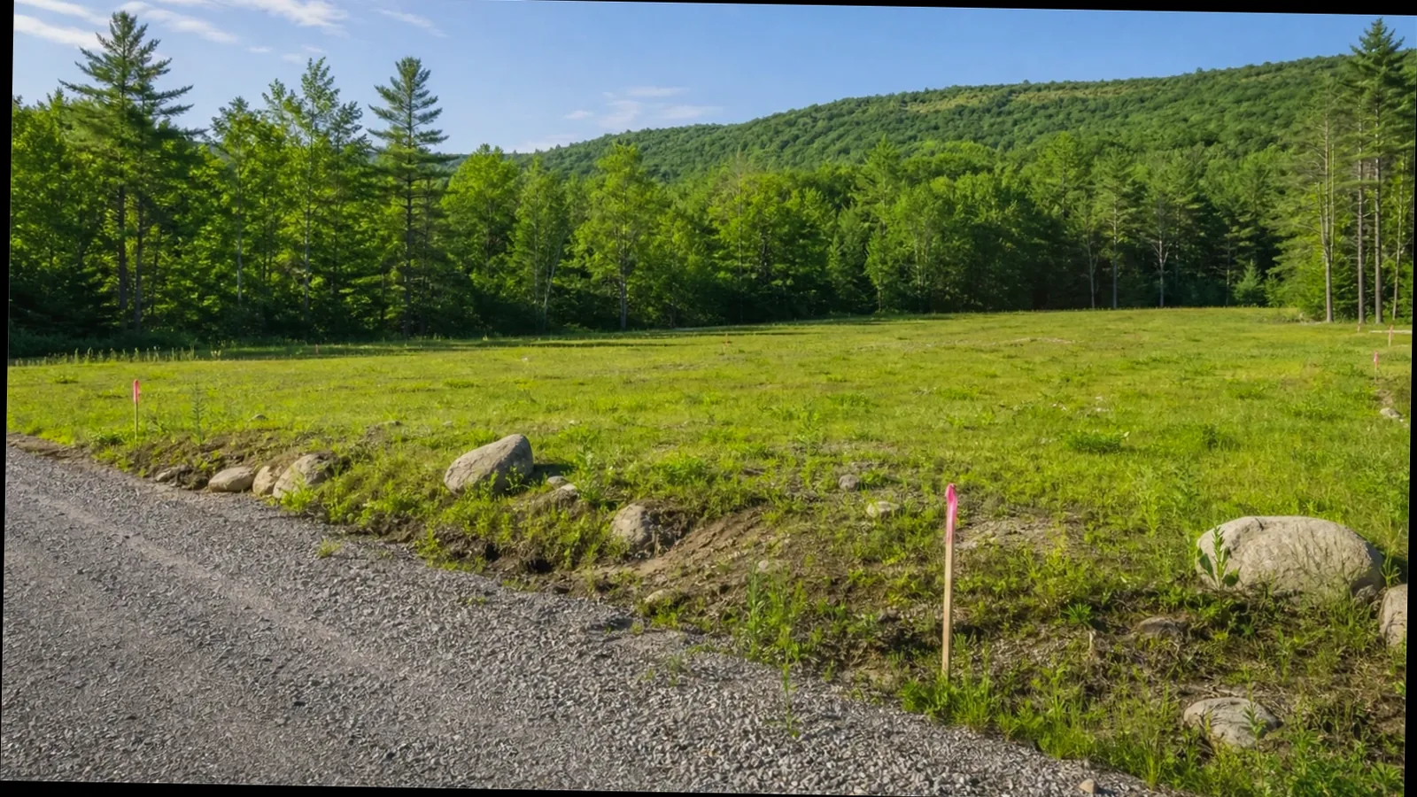 Selling Land to a Developer in Michigan Michigan land parcel