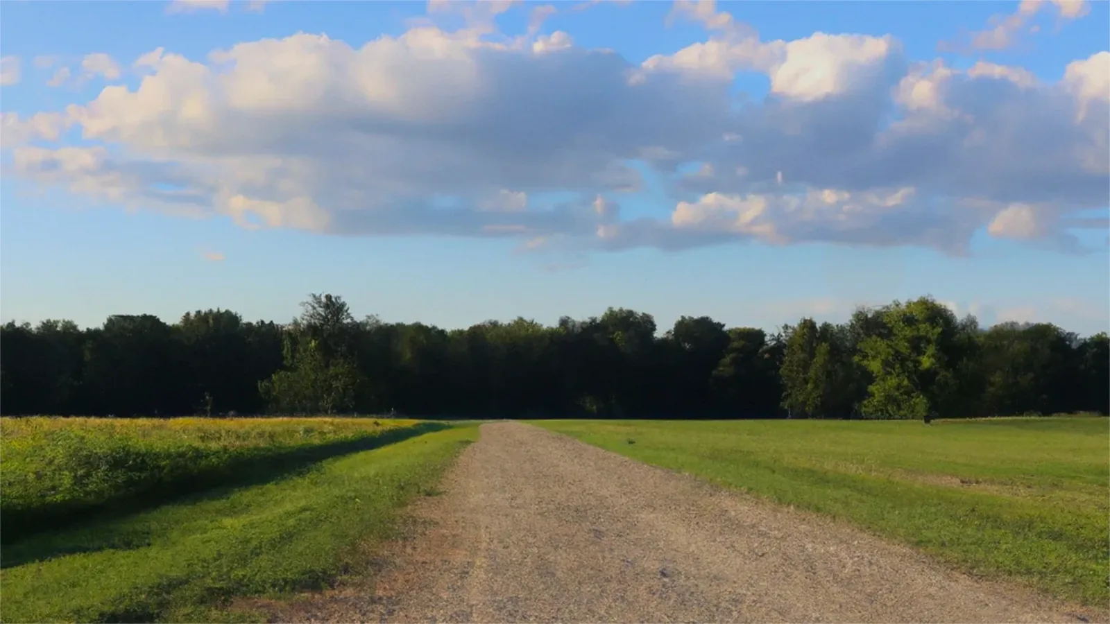 Michigan land