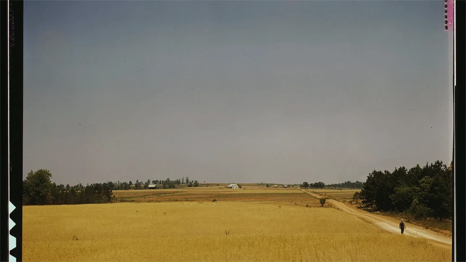 alcona county Michigan land
