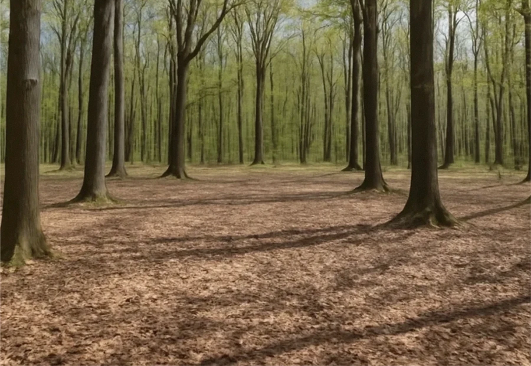 Wooded tracts - photorealistic Michigan land
