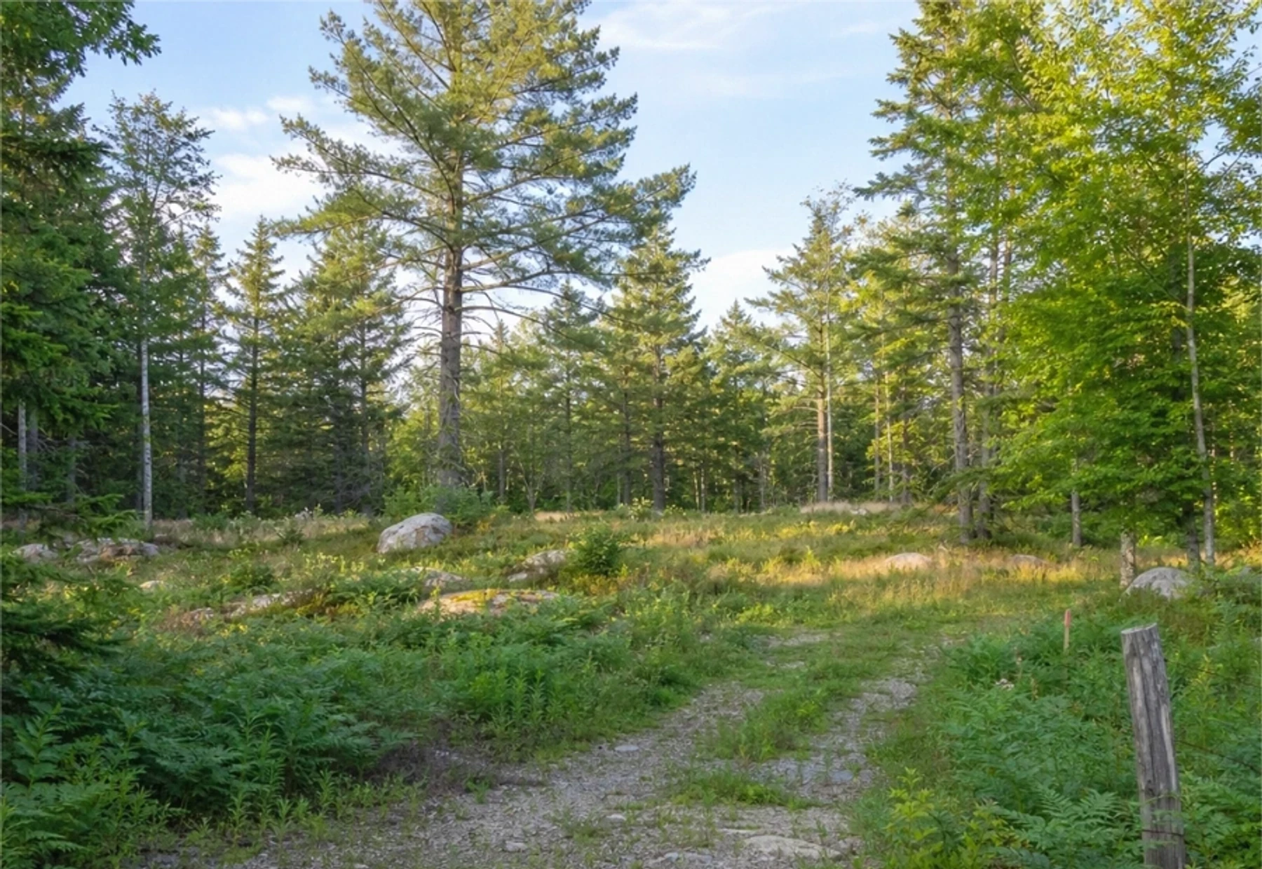 Rural access parcels - photorealistic Michigan land